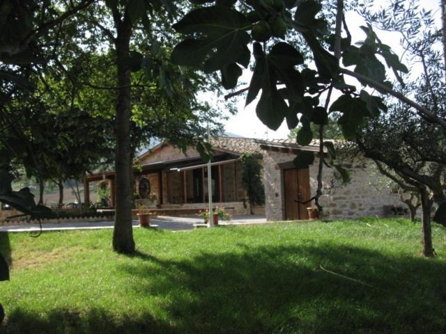 Pietra Maula Agriturismo Кастельраймондо Экстерьер фото