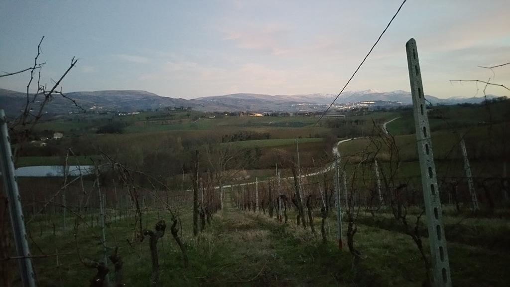Pietra Maula Agriturismo Кастельраймондо Экстерьер фото